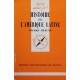 Histoire de l'Amérique latine